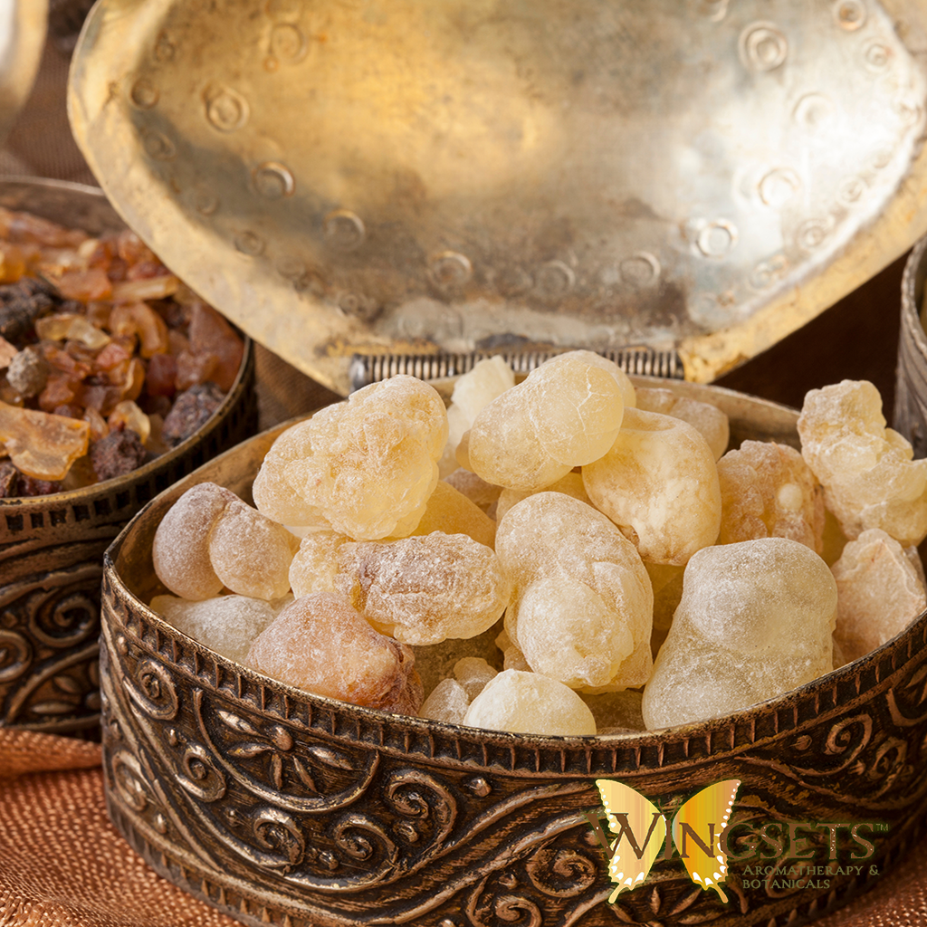Frankincense cartereii essential oil, pure, unadulterated, undiluted, aromatherapeutic, steam distilled from the resin, country of Somalia, premium and pure essential oil from Wingsets, handpoured and fresh, kept refrigerated