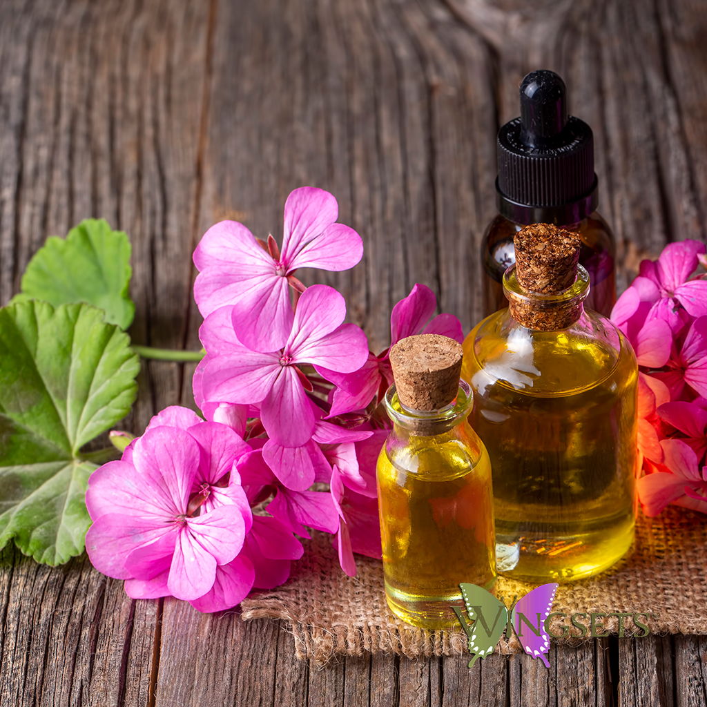 Geranium essential oil, from Egypt, undiluted, unadulterated, pure, wildcrafted from the flowers, steam distilled, aromatherapeutic, Pelargonium x asperum