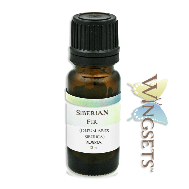 Fir, Siberian (Oleum abies siberica) Essential Oil