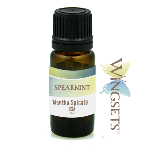 spearmint essential oil, mentha spicata, ethically grown, pure and therapeutic 