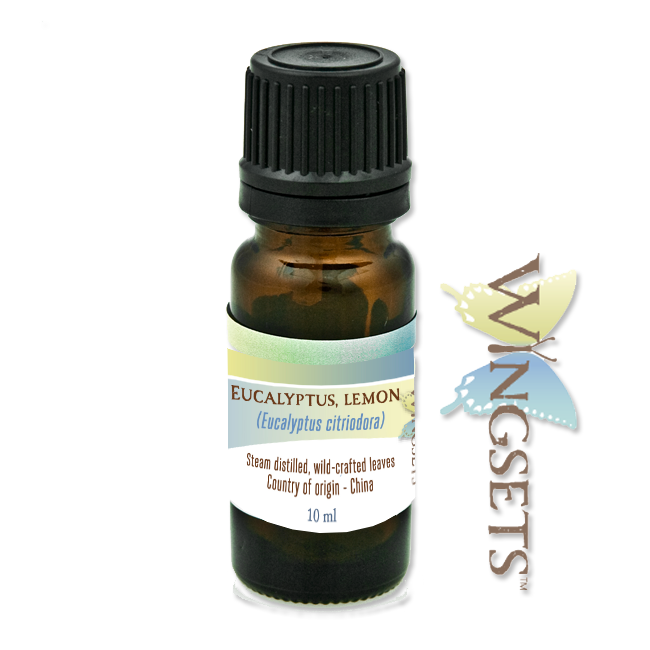 lemon eucalyptus essential oil, Eucalyptus citriodora, pure, aromatherapeutic, undiluted, unadulterated, steam distilled
