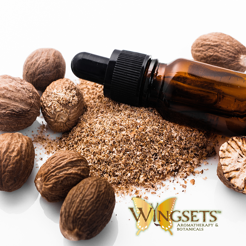 Nutmeg essential oil, Myristica fragrans, from Indonesia, pure, unadulterated, undiluted, steam distilled, Wingsets Aromatherapy and Botanicals