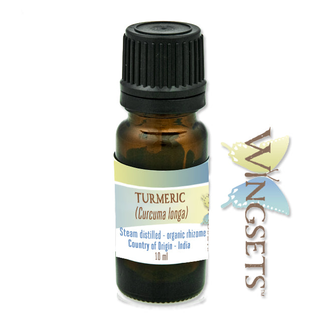 Turmeric (Curcuma longa) Essential Oil - Organic