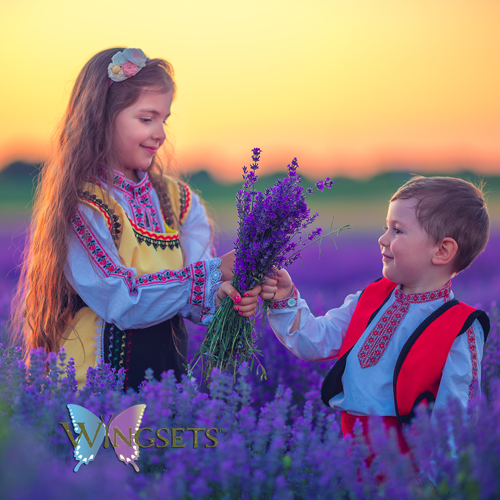 Bulgarian lavender essential oil, organic, steam distilled from the organic flowers, Bulgaria, undiluted, unadulterated, pure and natural, aromatherapeutic, GC/MS tested essential oils, Clinical aromatherapist, Wingsets Aromatherapy and Botanicals