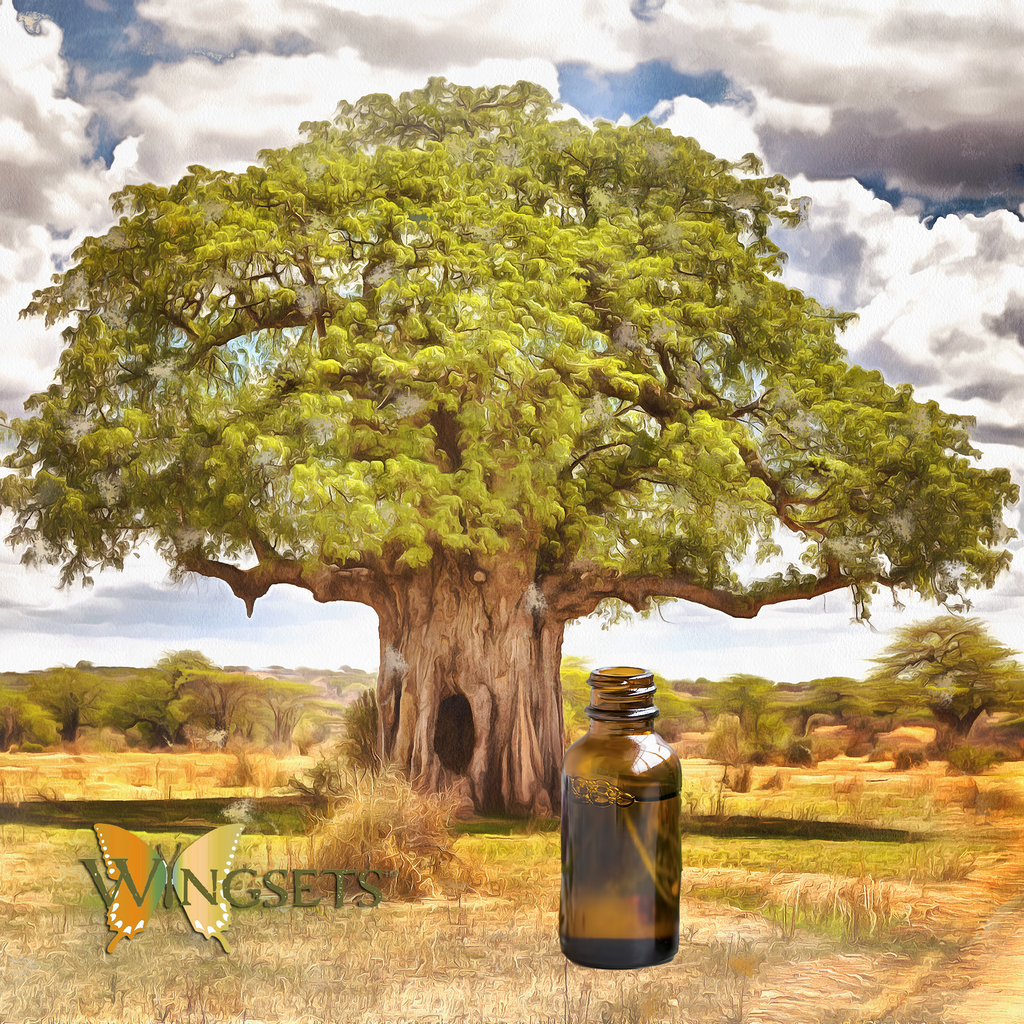 Baobab Seed carrier oil -certified organic ingredient