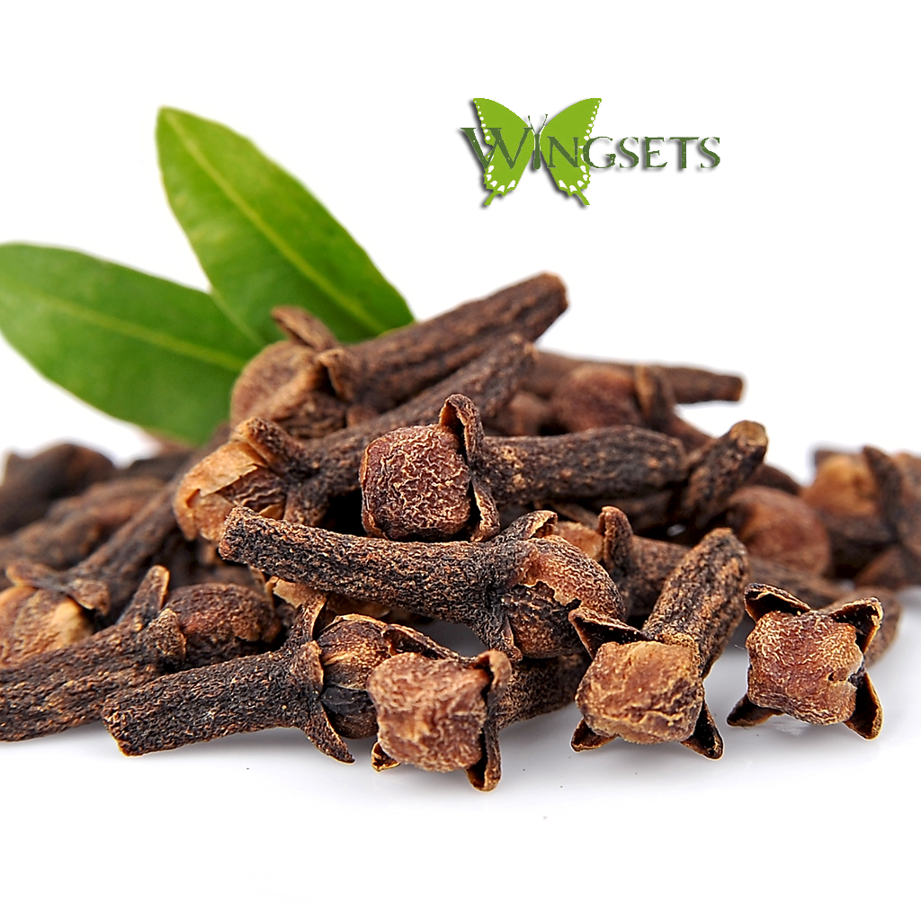 clove buds for essential oil steam distillation, organic, Eugenia caryophyllata