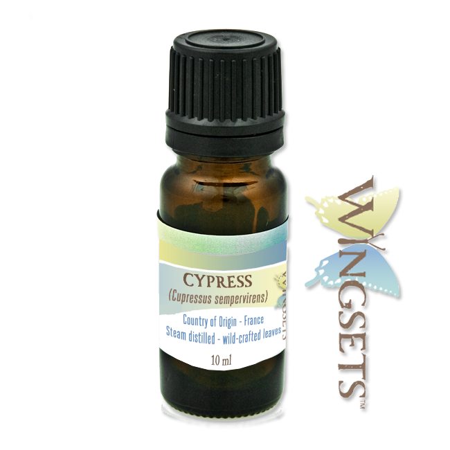 cypress essential oil, Cupressus sempervirens, pure, unadulterated, natural essential oil from France, GC/MS tested