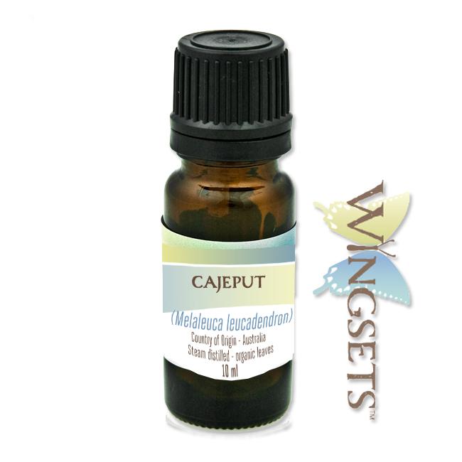 Melaleuca leucadendron, cajeput essential oil, Australia, steam distilled from organic leaves