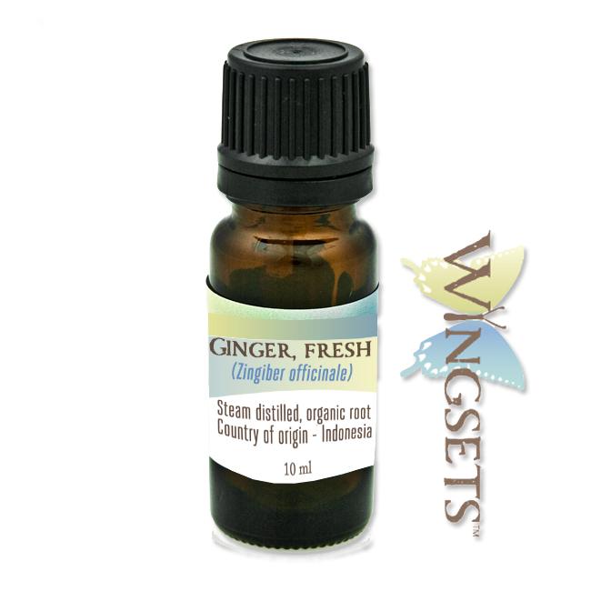 ginger fresh root essential oil organic