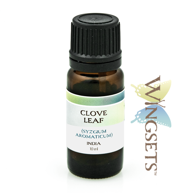 clove leaf essential oil, steam distilled, Eugenia caryophyllata