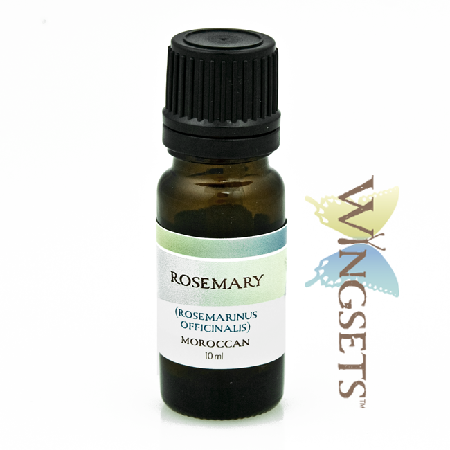 Rosemary (Rosemarinus officinalis)