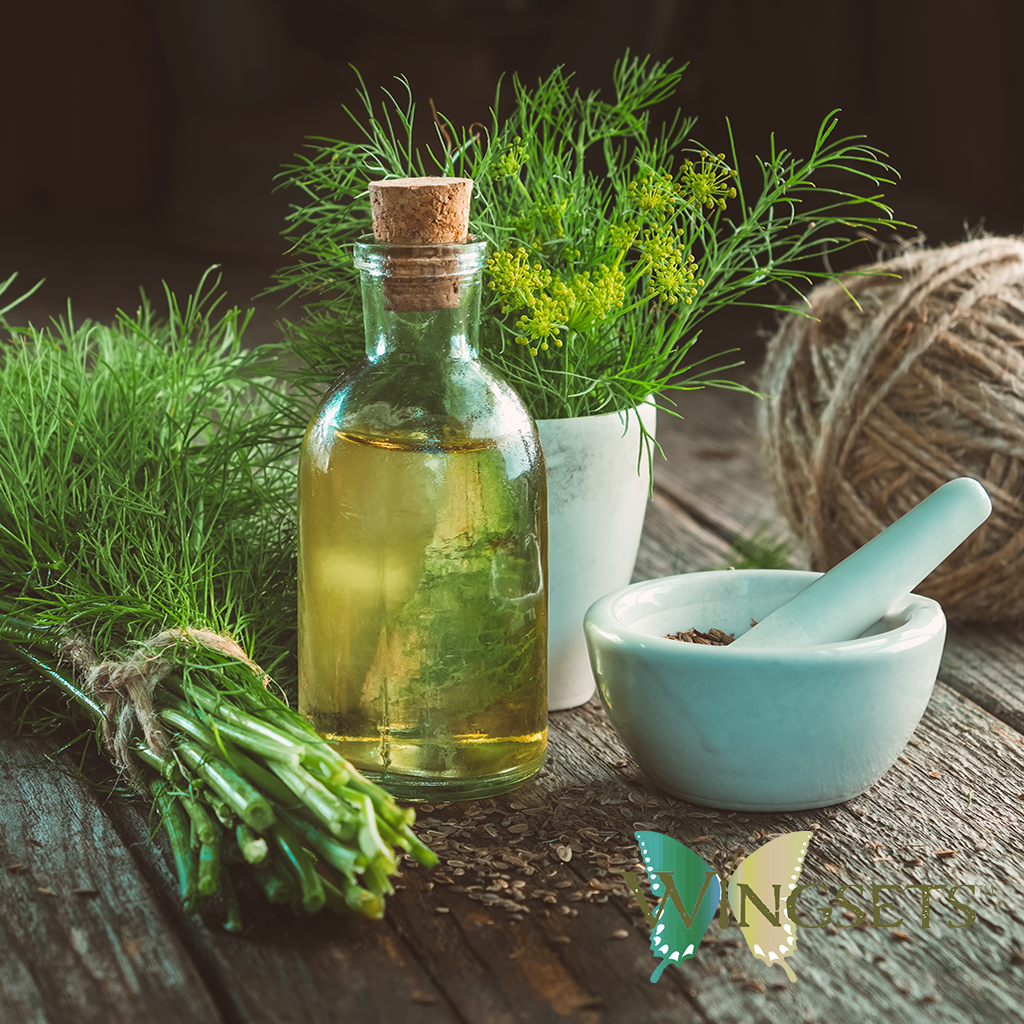 Fennel Seed (Foeniculum vulgare) Essential Oil