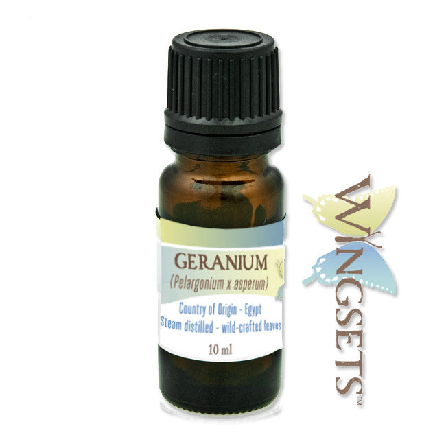 Geranium essential oil, from Egypt, undiluted, unadulterated, pure, wildcrafted from the flowers, steam distilled, aromatherapeutic, Pelargonium x asperum