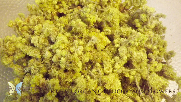 certified organic helichrysum flowers