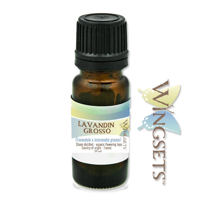Lavandin Grosso essential oil, organic, Lavandula x intermedia grosso, steam distilled from organic flowering tops, country of France, pure, unadulterated, aromatherapeutic, Wingsets Aromatherapy and Botanicals, GC/MS tested pure oils
