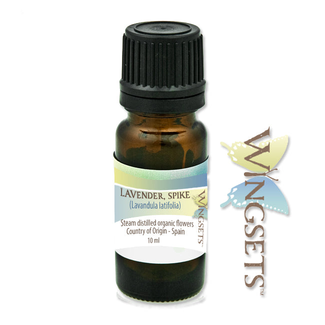 Spike lavender essential oil, Lavandula latifolia, organic, steam distilled from the organic flowering tops, country of Spain, pure, unadulterated, aromatherapeutic, Wingsets Aromatherapy and Botanicals, GC/MS tested pure essential oils