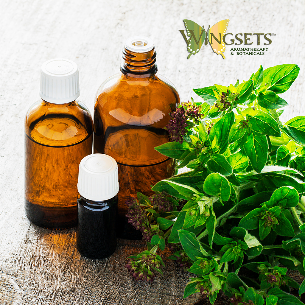 Oregano essential oil, country of origin Turkey, steam distilled flowers and leaves, wild-crafted, aromatherapeutic, pure, GC/MS tested, carvacrol, Origanum vulgare