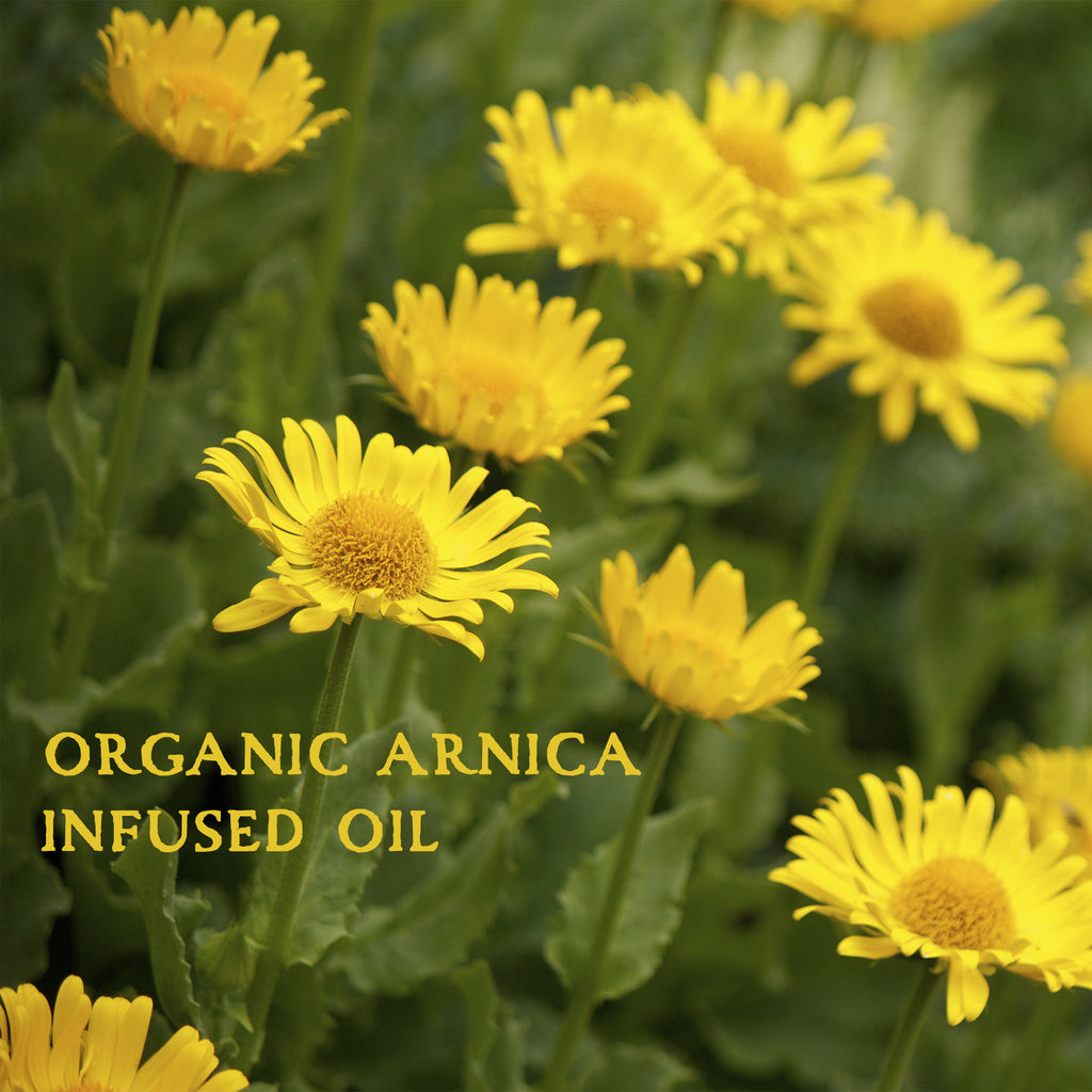 Arnica Infused Herbal Oil, certified organic ingredients