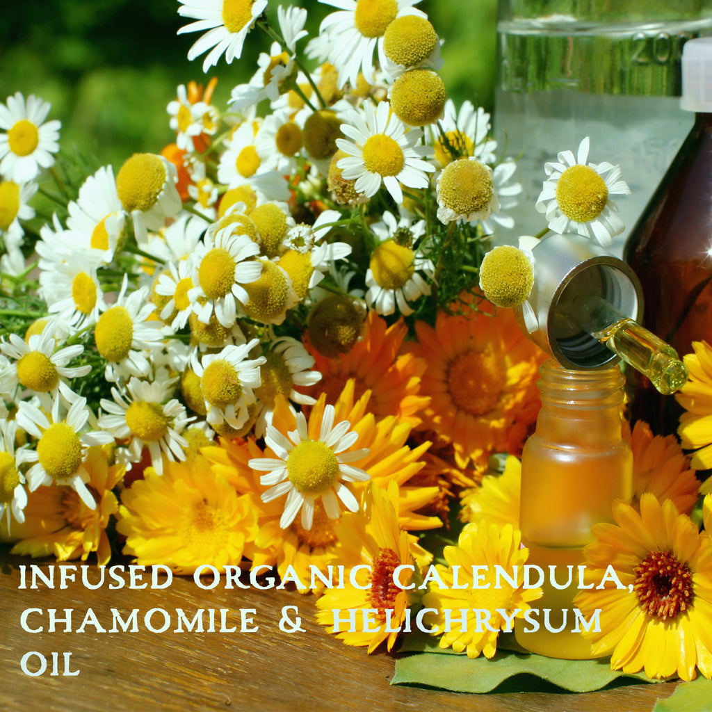 organic flowers of calendula and chamomile for infused oil