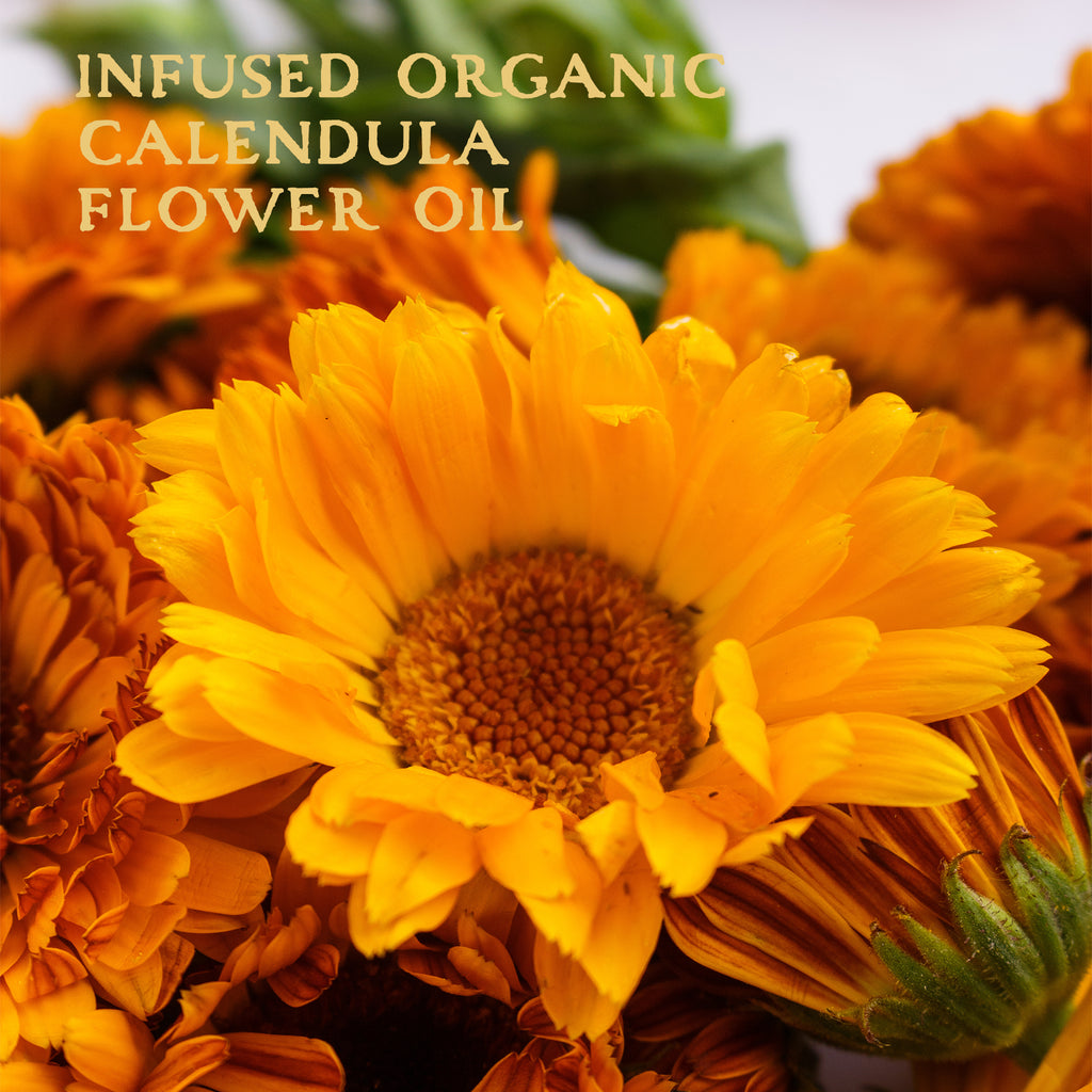 Organic Calendula Infused Herbal Oil in Certified Organic Extra Virgin Olive Oil