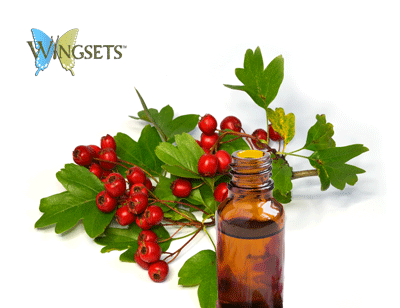 Rosehip Seed Oil - certified organic ingredient